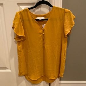 Ann Taylor Loft short sleeved button down blouse new with tags.